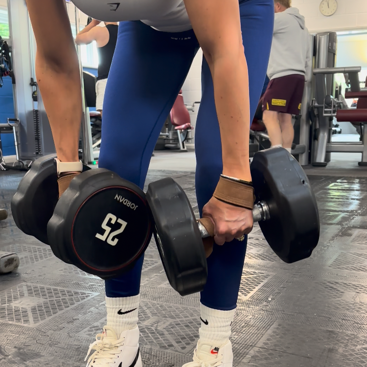 Gym Lifting Straps (Leather)